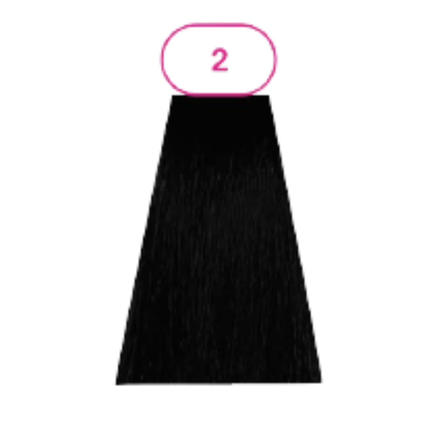 ANVEN BIDIIP TINTE PERMANENTE 2 OBSIDIANA NATURAL