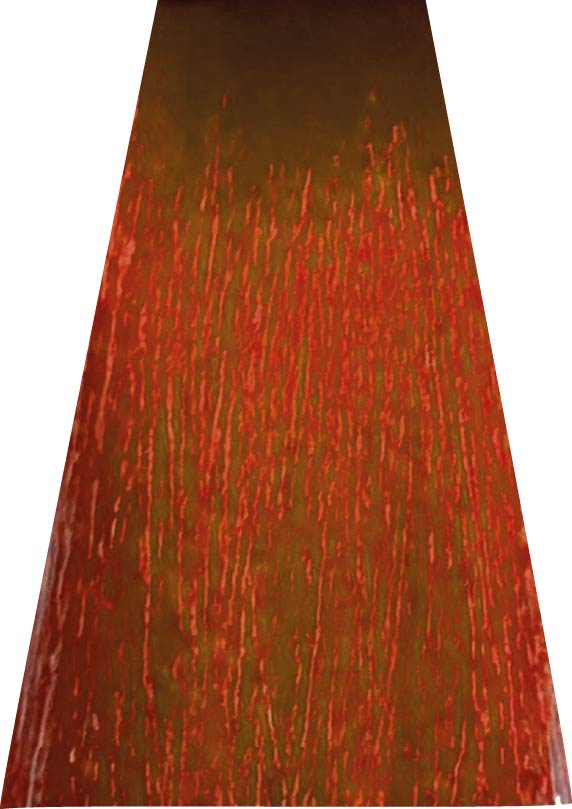 ANVEN BIDIIP TINTE SEMI PERMANENTE FUEGO