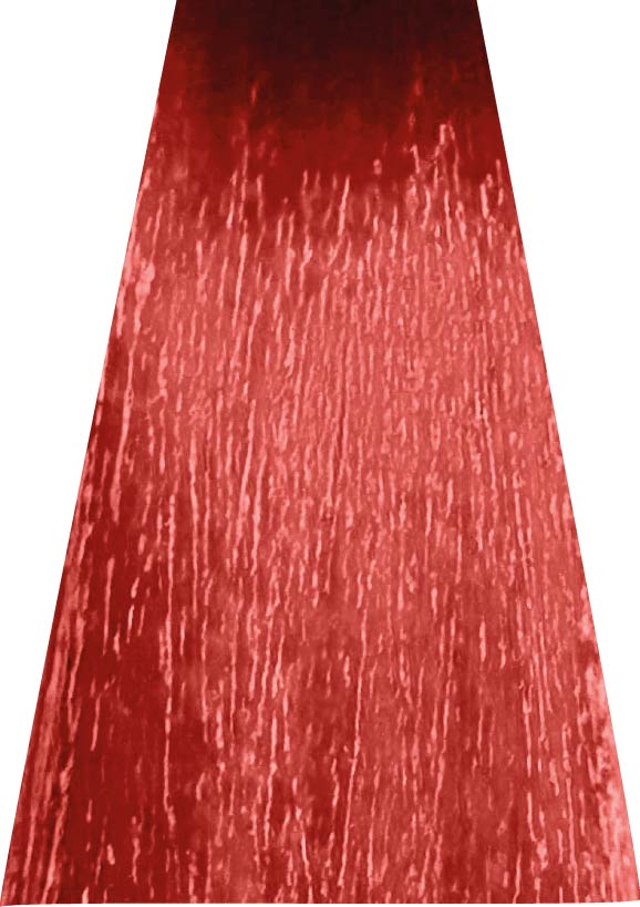 ANVEN BIDIIP TINTE SEMI PERMANENTE CORAL