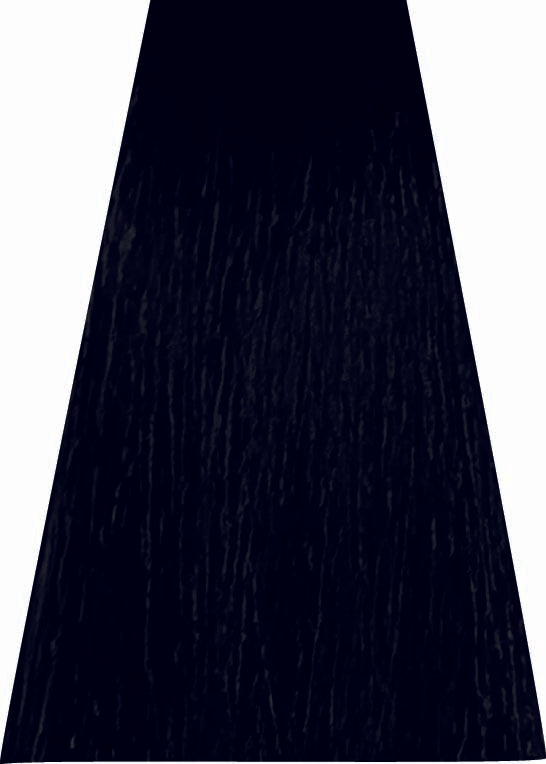 ANVEN BIDIIP TINTE PERMANENTE 2 OBSIDIANA NATURAL