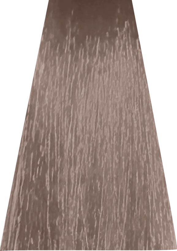 ANVEN BIDIIP TINTE PERMANENTE 10.21 BRILLO ARENA