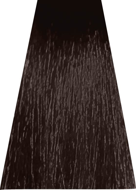 ANVEN BIDIIP TINTE PERMANENTE 6 CAFÉ NATURAL