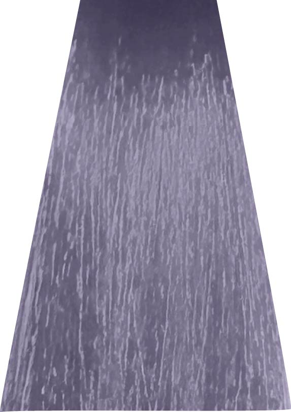 ANVEN BIDIIP TINTE PERMANENTE 12.21 BRILLO PERLADO