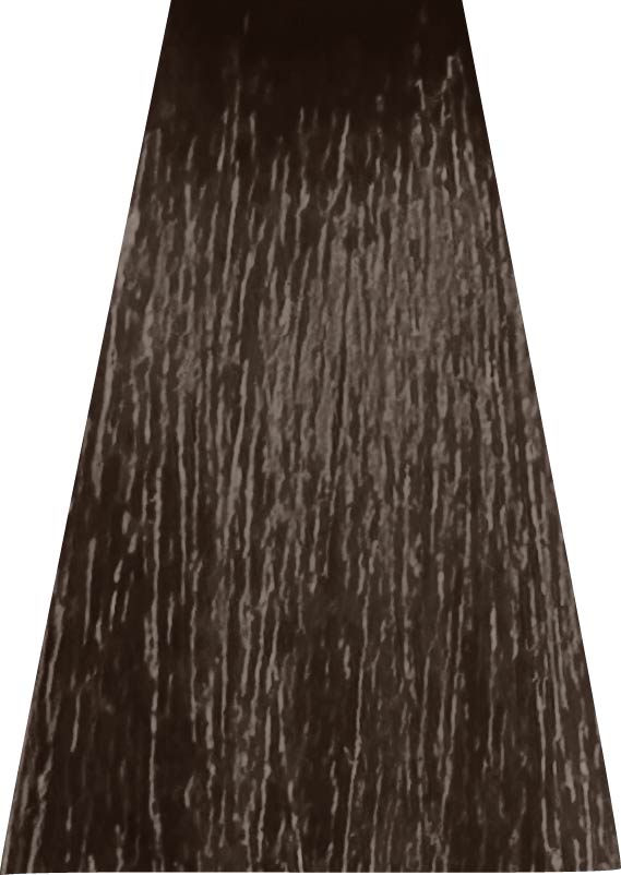 ANVEN BIDIIP TINTE PERMANENTE 6.1 CENIZA TORMENTA