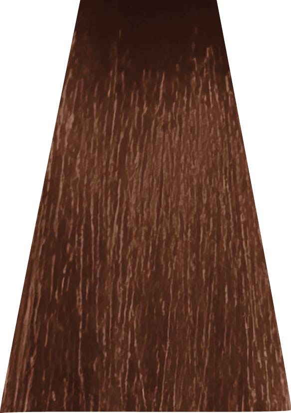 ANVEN BIDIIP TINTE PERMANENTE 7.45 CANELA DORADA