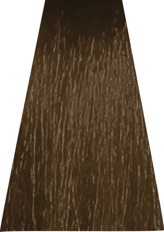 ANVEN BIDIIP TINTE PERMANENTE 7.3 ARENA DORADA