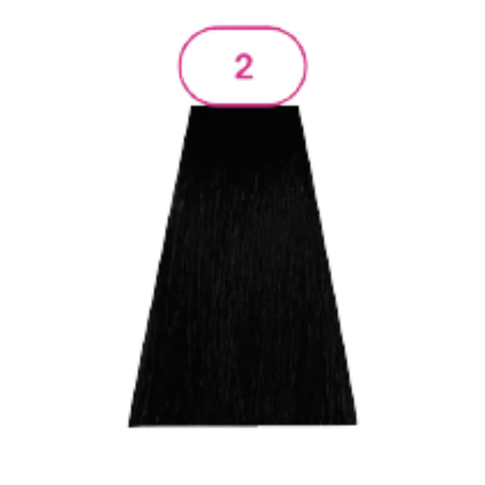 ANVEN BIDIIP TINTE PERMANENTE 2 OBSIDIANA NATURAL