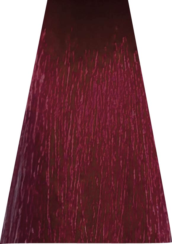 ANVEN BIDIIP TINTE SEMI PERMANENTE ROJO