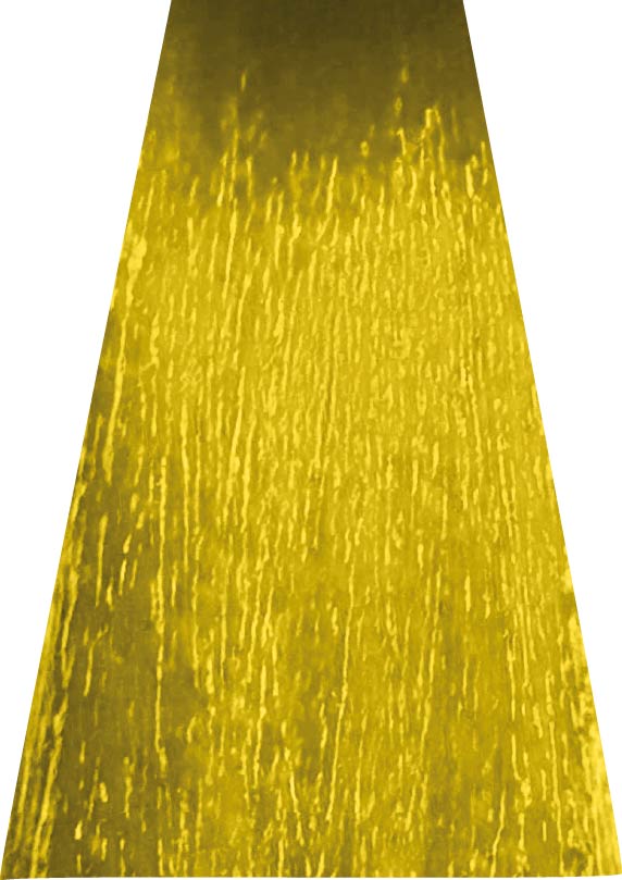 ANVEN BIDIIP TINTE SEMI PERMANENTE SUNNY