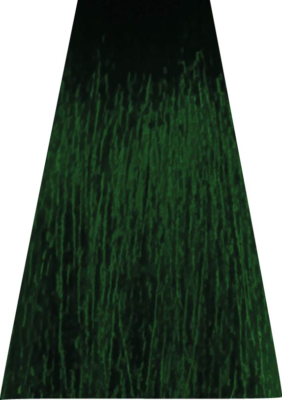 ANVEN BIDIIP TINTE SEMI PERMANENTE VERDE FRESCO