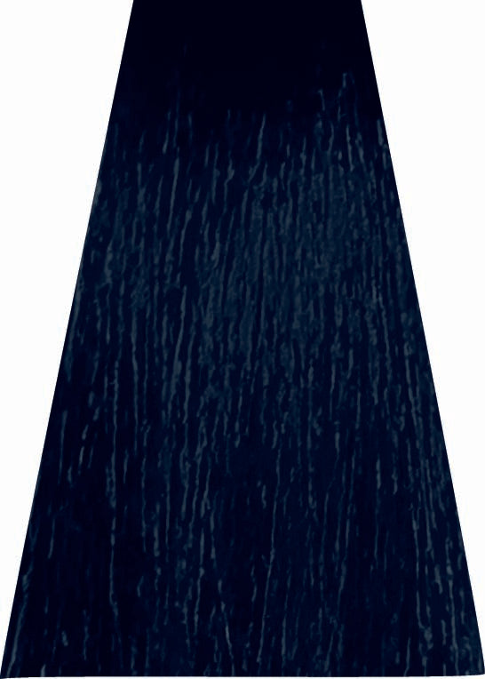 ANVEN BIDIIP TINTE PERMANENTE 1 AZABACHE NATURAL