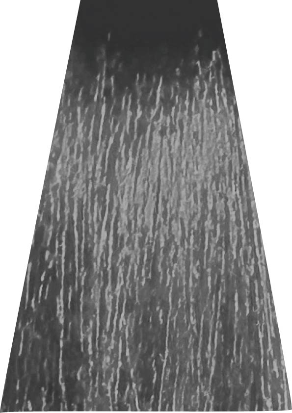 ANVEN BIDIIP TINTE PERMANENTE 9.1 BRILLO HIELO