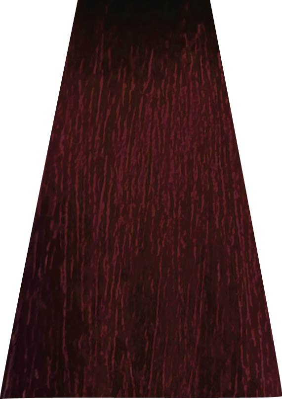 ANVEN BIDIIP TINTE PERMANENTE 8.66 BRILLO ESCARLATA