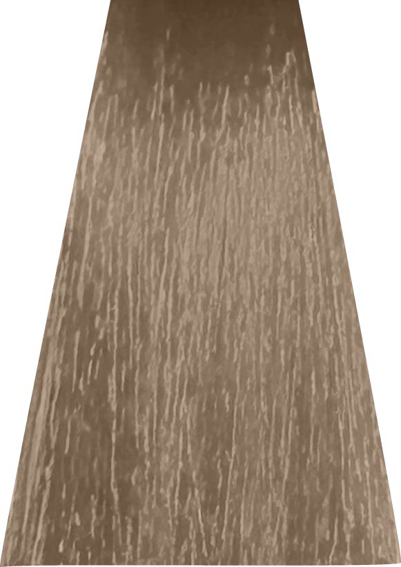 ANVEN BIDIIP TINTE PERMANENTE 9.02 CHAMPAGNE