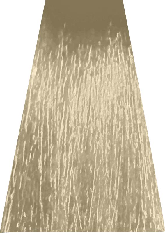 ANVEN BIDIIP TINTE PERMANENTE 10 PERLA NATURAL