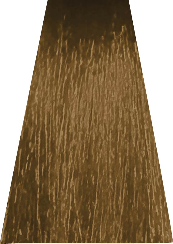 ANVEN BIDIIP TINTE PERMANENTE 8.33 DESTELLO DORADO