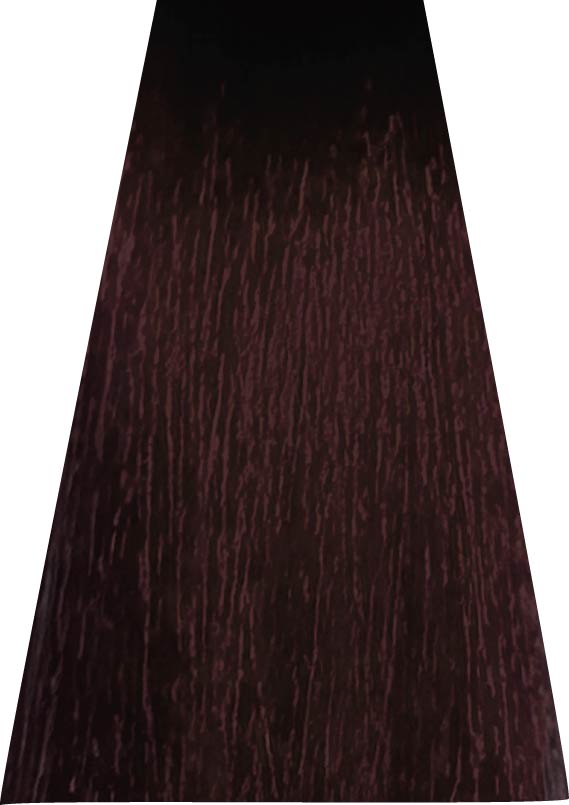 ANVEN BIDIIP TINTE PERMANENTE 7.66 RESPLANDOR ATARDECER