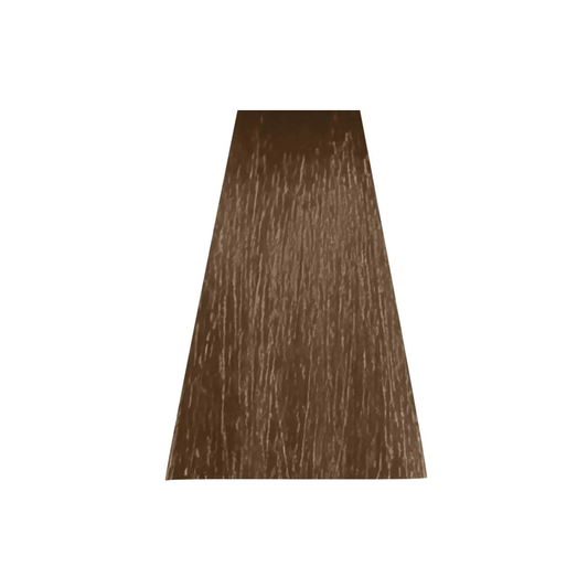 ANVEN BIDIIP TINTE PERMANENTE 8.81 MARRÓN COCOA