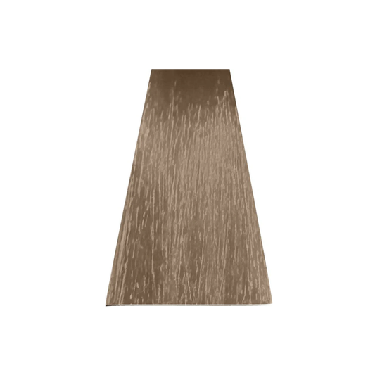 ANVEN BIDIIP TINTE PERMANENTE 9.02 CHAMPAGNE