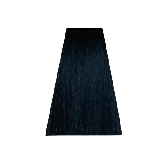 ANVEN BIDIIP TINTE PERMANENTE 1 AZABACHE NATURAL